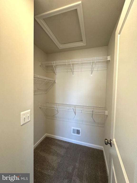 Building Photo - 317 Short Br Dr