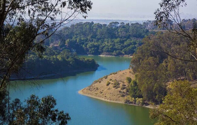 Building Photo - Furnished One Bedroom Cottage in Castro Valley