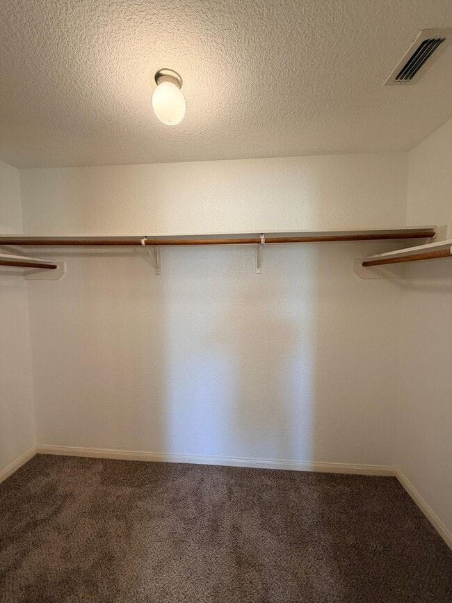 Building Photo - 5651 Forest Canyon