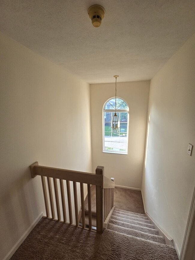 Building Photo - Spacious 3-bedroom Gibsonia townhome