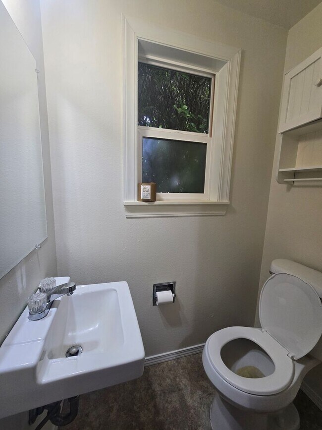 Building Photo - Beautiful 3 bedroom on large lot.