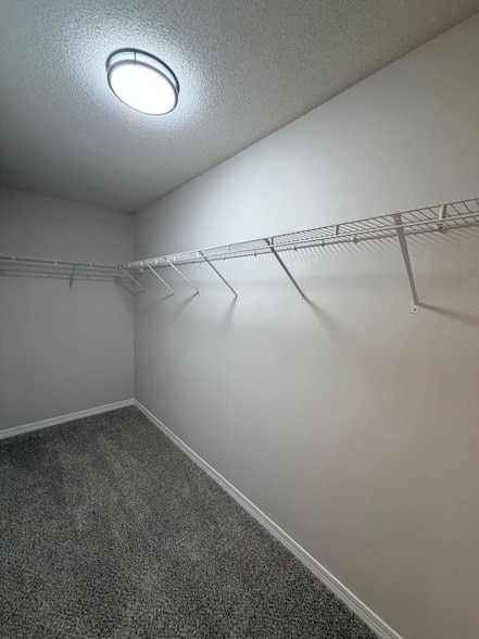 Building Photo - 6952 Cotton Boll Ln