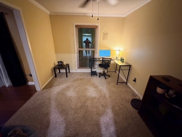 Building Photo - 4709 Michelle St