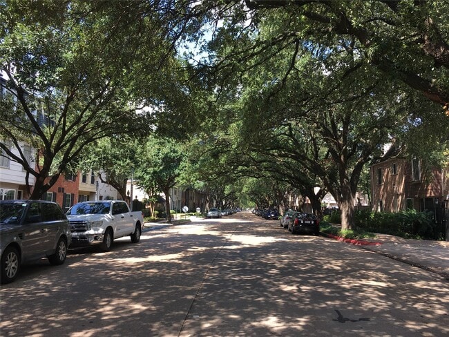 Building Photo - 351 N Post Oak Ln