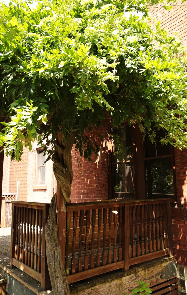 Building Photo - 403 West St