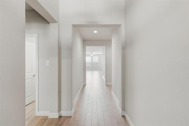 Building Photo - 249 Irish Moss Dr