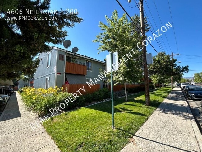 Primary Photo - 4606 Neil Rd