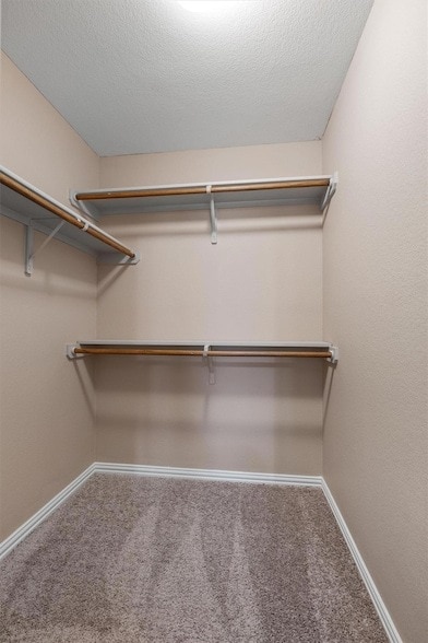 Building Photo - 1609 Hidden Springs Path