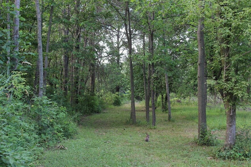 Back yard -- shared with tenants in other unit. Bunny not guaranteed. - 9331C Tallmadge Road