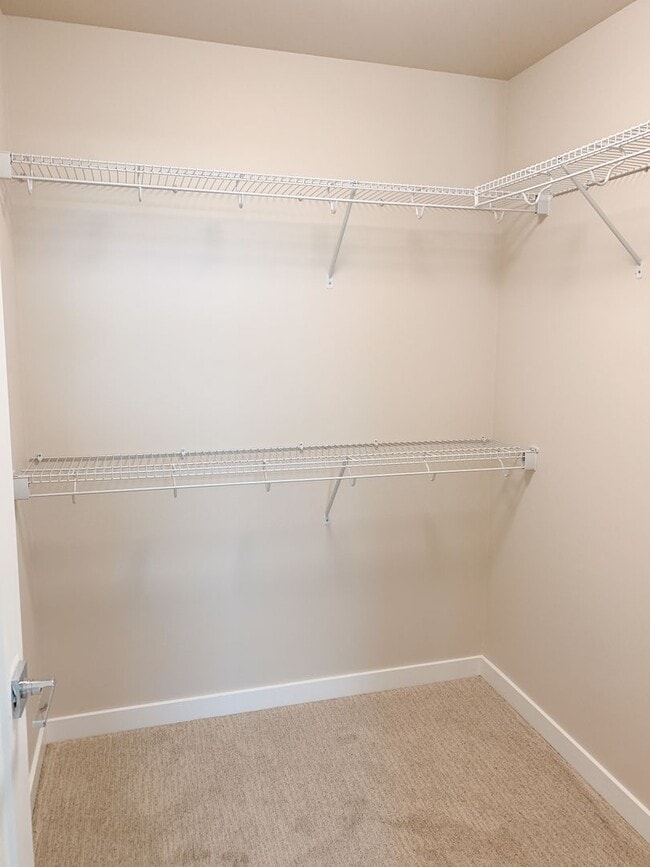 Building Photo - Sunny 3 bdrm, 2.5 bath in Cordata Neighborhood