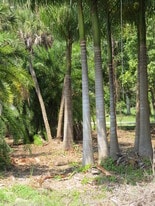 Building Photo - 27420 Palmesta Cir