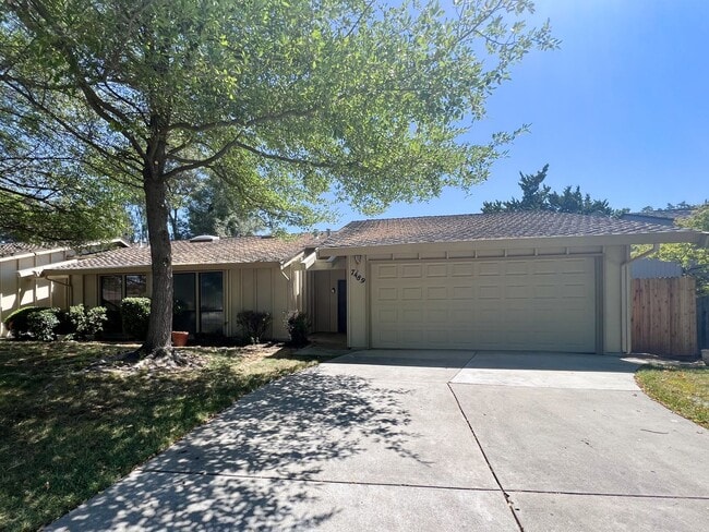 Building Photo - 7489 Maple Tree Wy