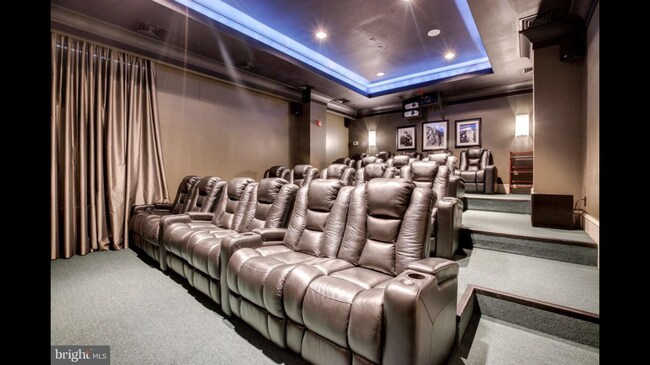 Theater available for private reservations - 851 N Glebe Rd