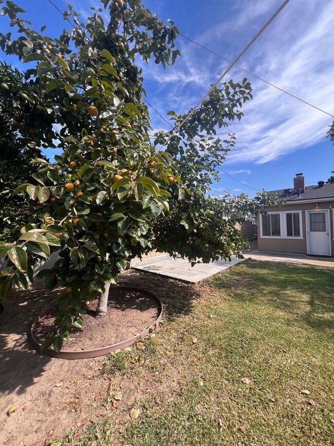 Building Photo - Charming 3-Bedroom Home in Whittier, CA!