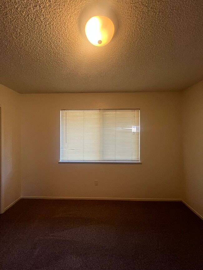 Building Photo - 1215 Mt Shasta Cir