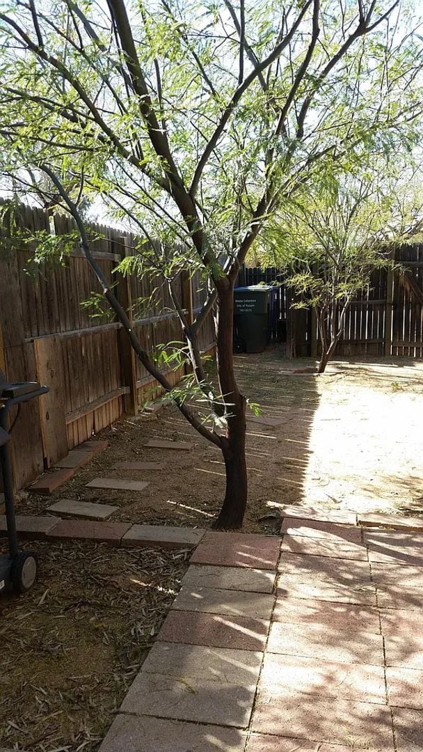 Building Photo - Centrally located 1 bedroom, 1 bath with bonus Den in a duplex, SW side of Swan & Grant.