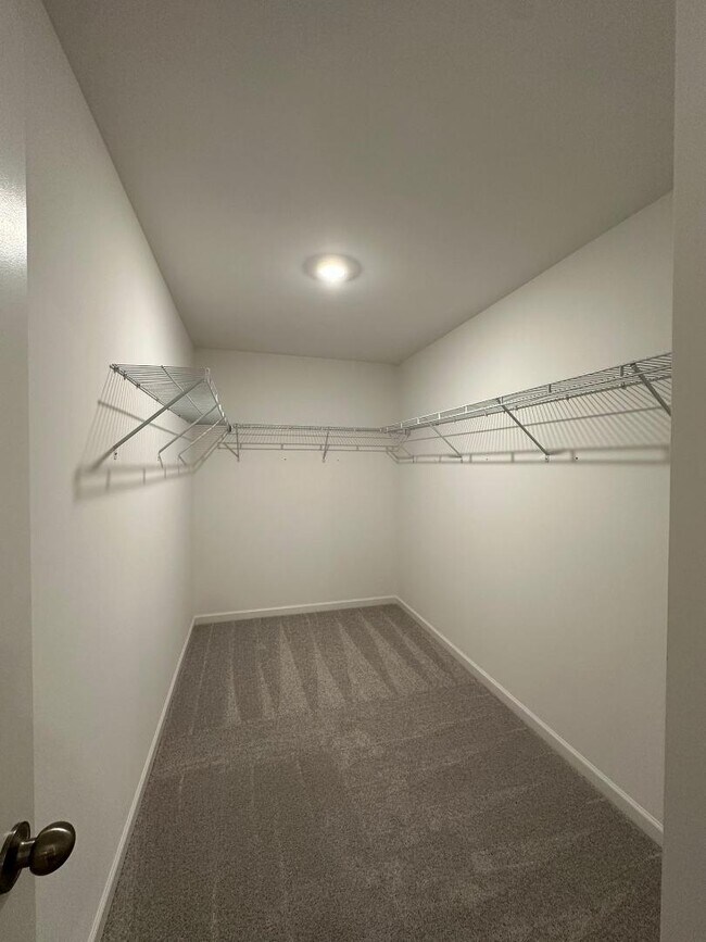 Building Photo - 2482 Van Fleet Cir