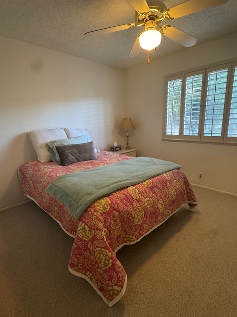 Building Photo - 40351 Sugarbush Ct