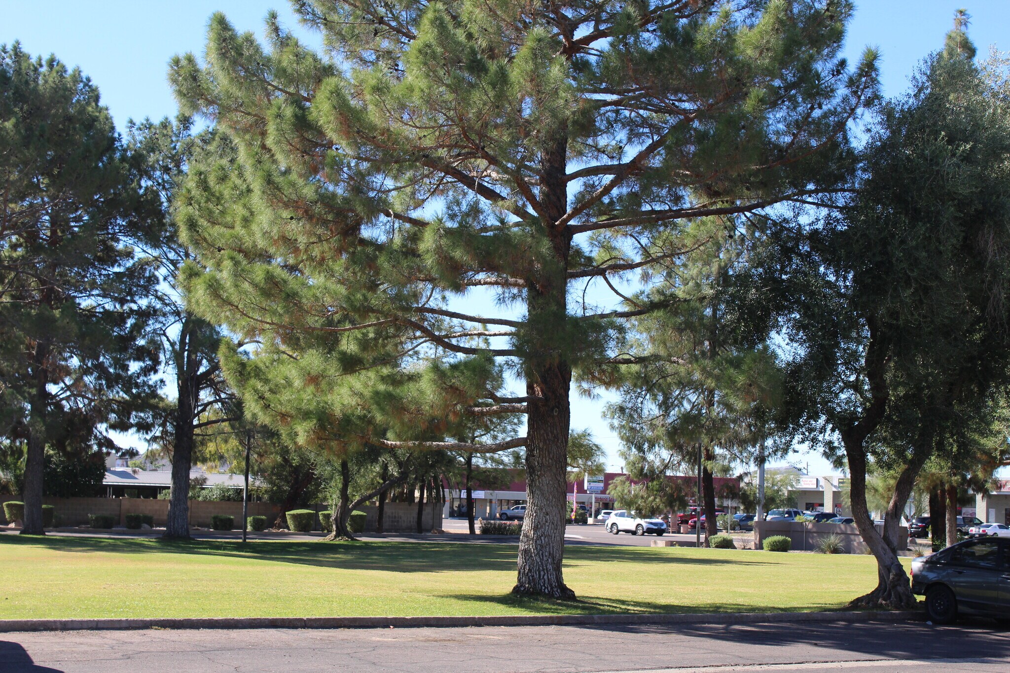 Building Photo - 3301 E Kelton Ln