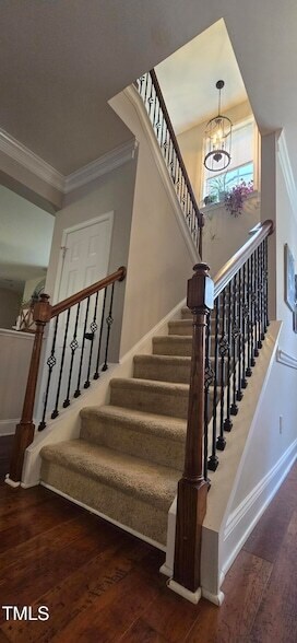 Building Photo - 204 Darbytown Pl