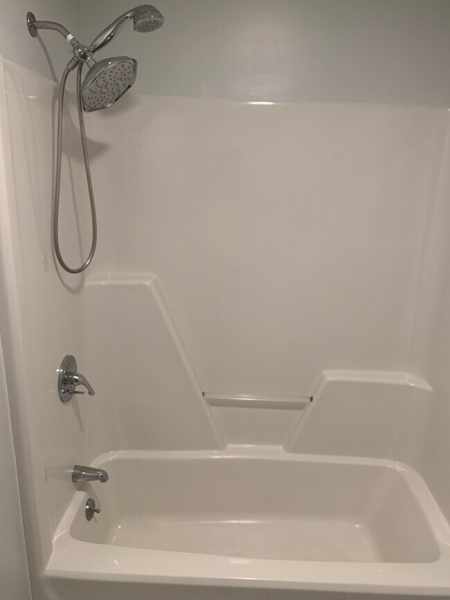 Master Tub/Shower - 106 Whitaker Ct
