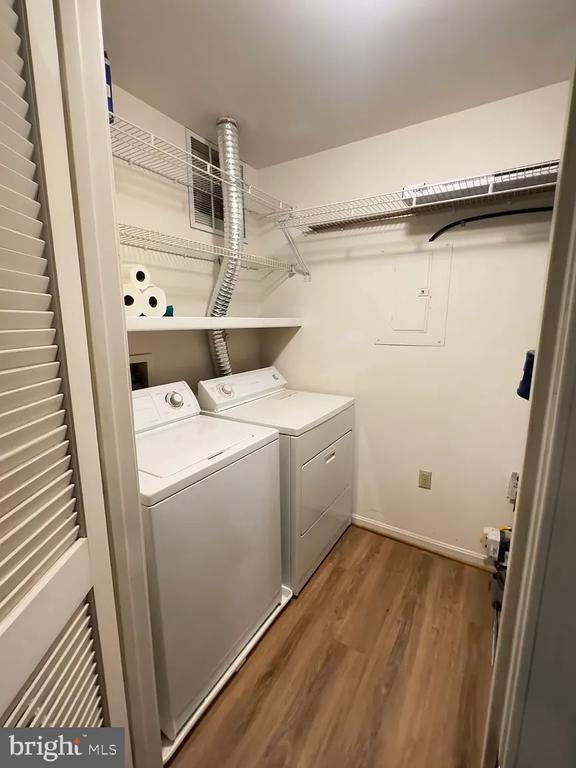 Building Photo - 309 Tall Pines Ct