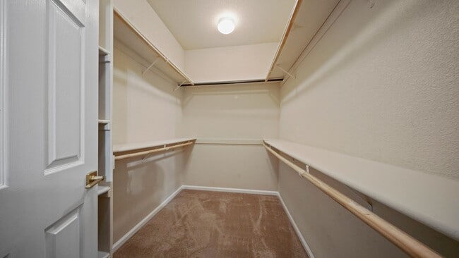 Building Photo - Beautiful 3 bedroom single story home