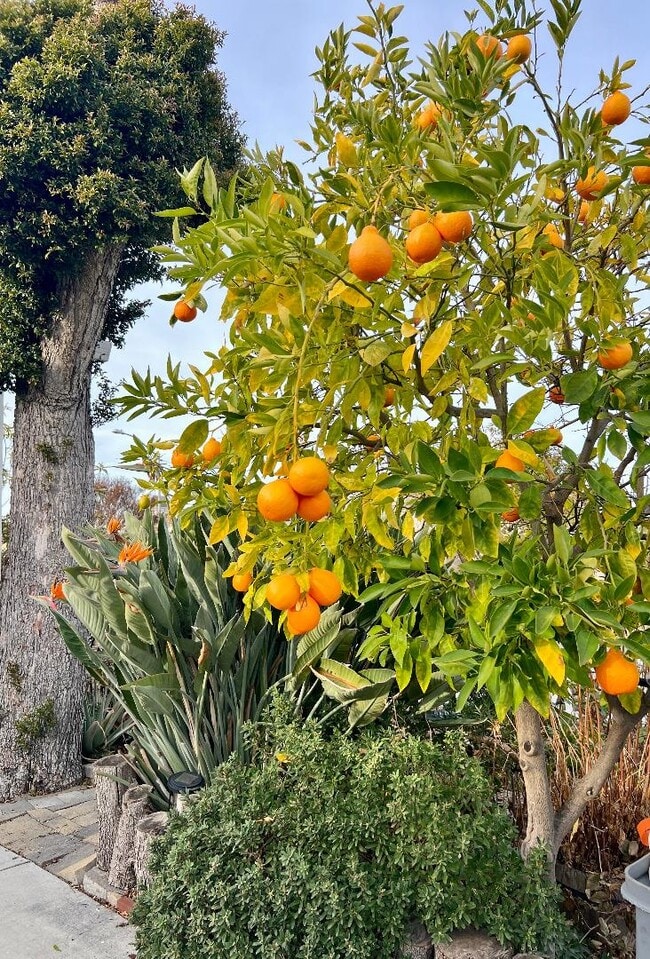 Building Photo - 801 Betlin Ave