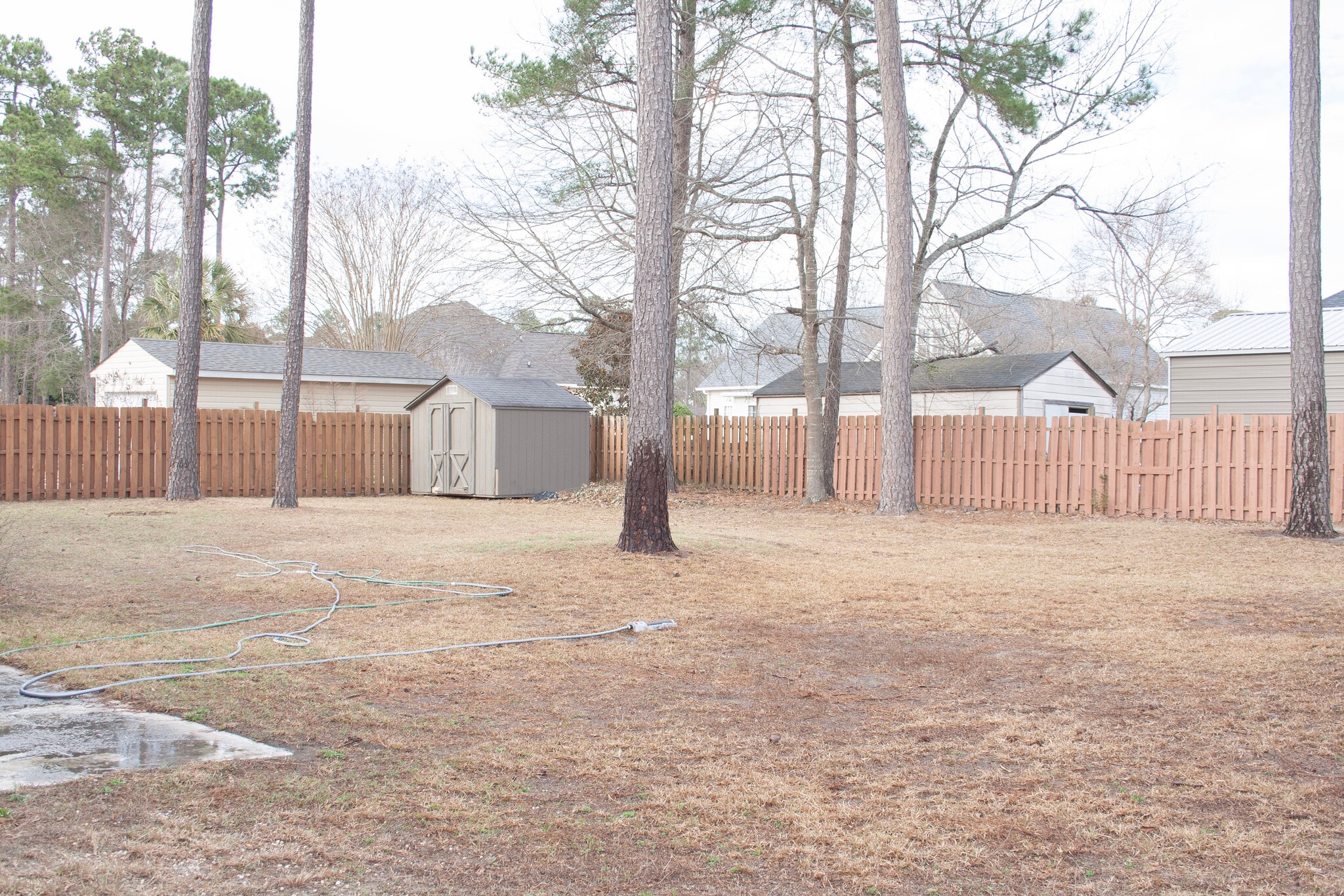 Large Backyard - 237 Yale Rd