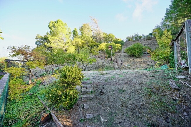 Building Photo - Loma Verde Home with Spacious Backyard, Great Neighborhood!