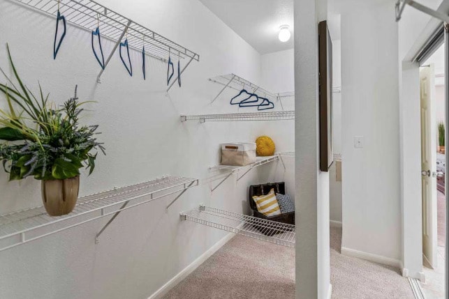 Building Photo - Open, Light, Inviting