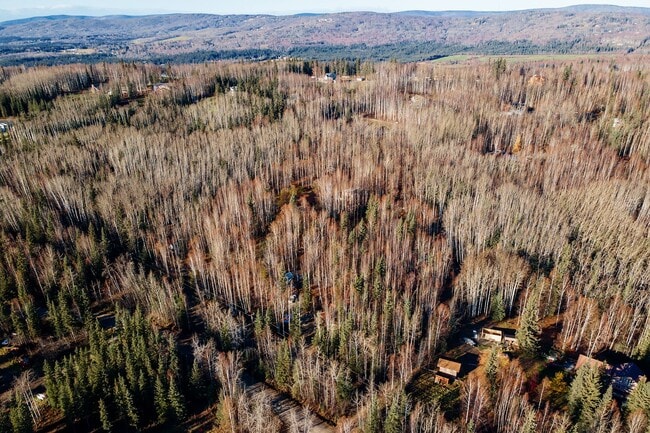 Building Photo - Cozy 2 Bedroom, 1 Bath, With a great Locat...