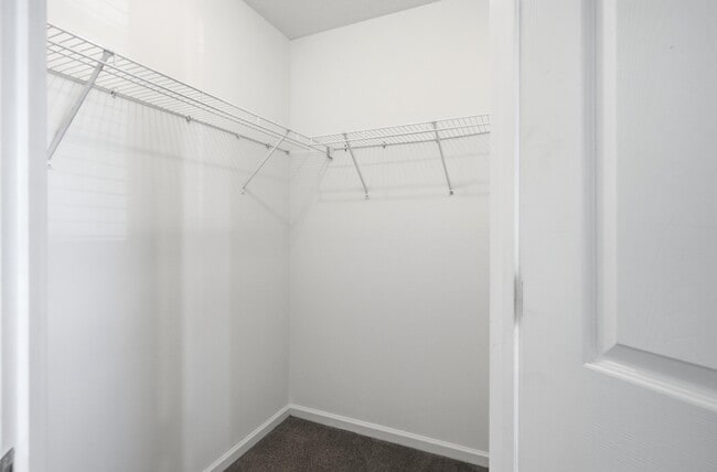 Building Photo - 2413 Northampton Dr