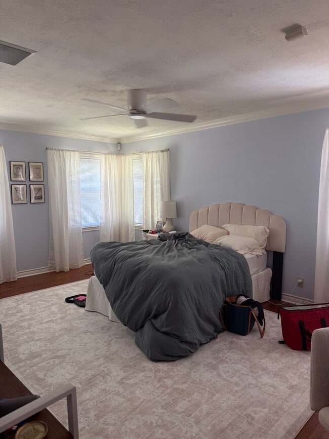 Building Photo - Brand New Remodel