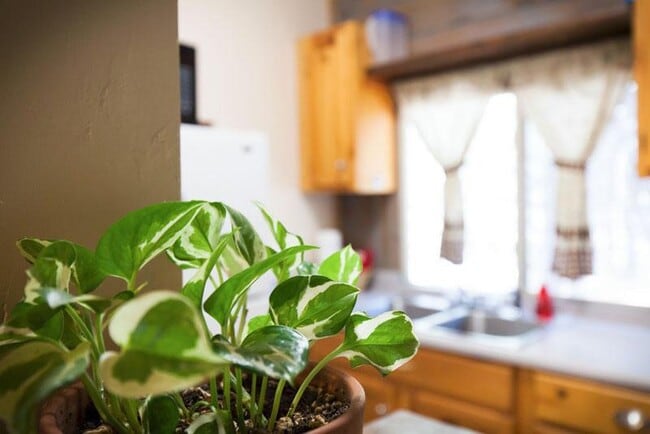 Building Photo - 4555 S Lake Mary Rd