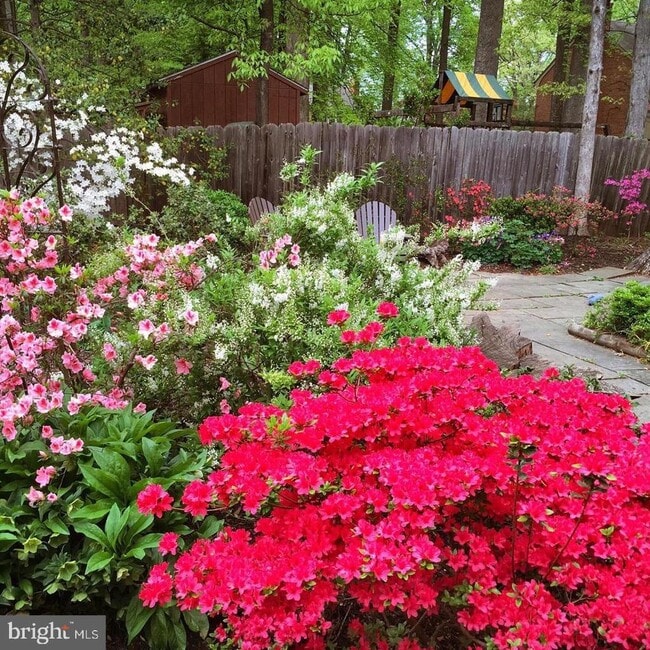 Building Photo - 8208 Thoreau Dr