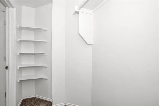 Building Photo - 1317 Carver Ln