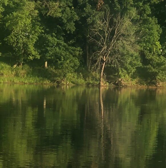 You can see one of the residents - a Blue Heron - 5163 Whitethorne Rd