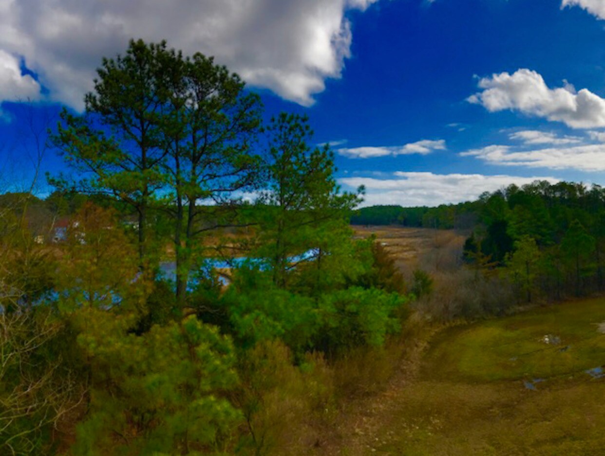 Building Photo - 462 Wind Mill Point Rd