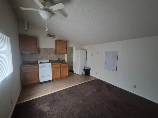 Building Photo - 828 1/2 E Cache La Poudre St