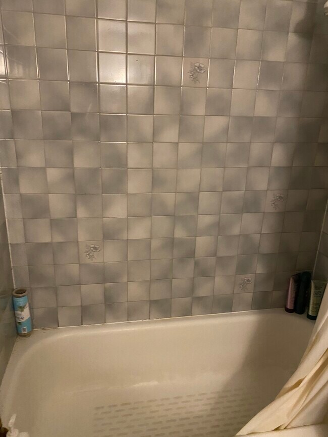 Lower Level Bath - 917 E Ann St