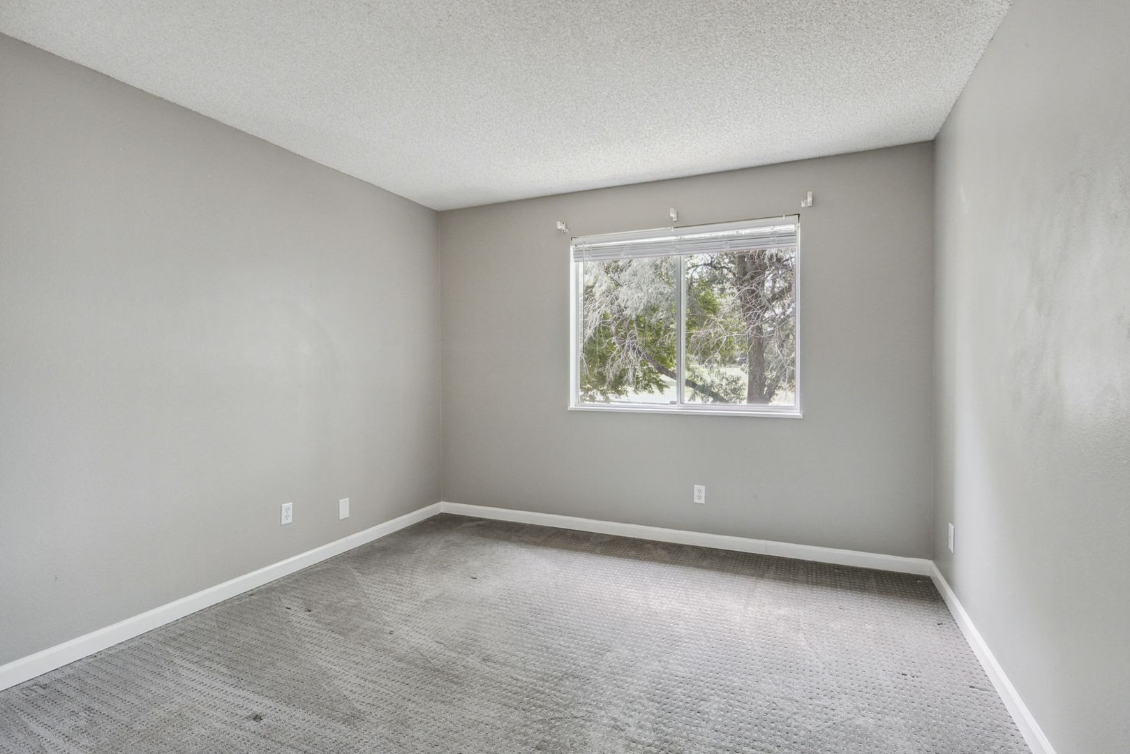 Building Photo - 8555 Fairmount Dr