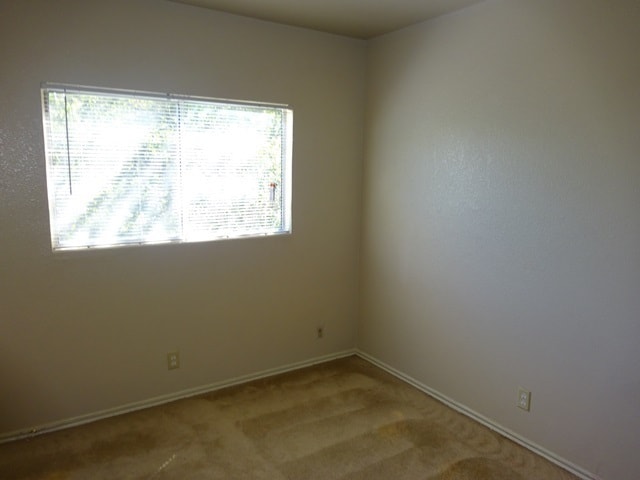 Building Photo - 3638 Candlehead Ln