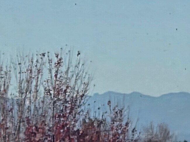 Building Photo - Beautiful and Expansive 4 Bed 3 Bath SFR by Buckley AFB