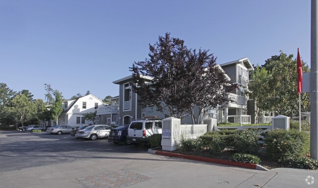 Primary Photo - Magnolia Lane