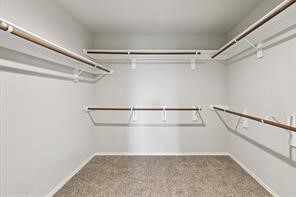 Building Photo - 23606 Eldarica Pine Ct
