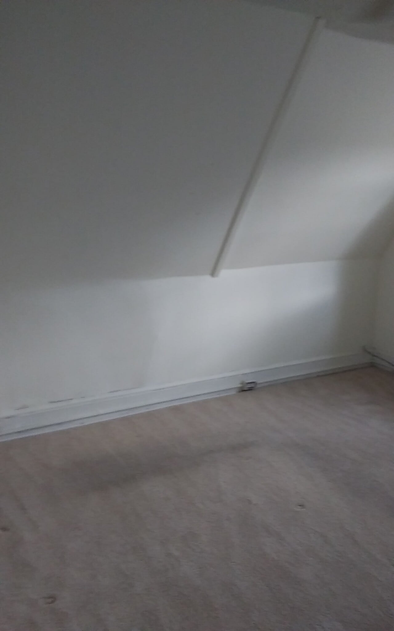 Building Photo - 523 Oley St