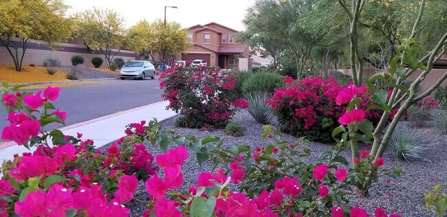 Building Photo - 2248 E Ottawa Ln