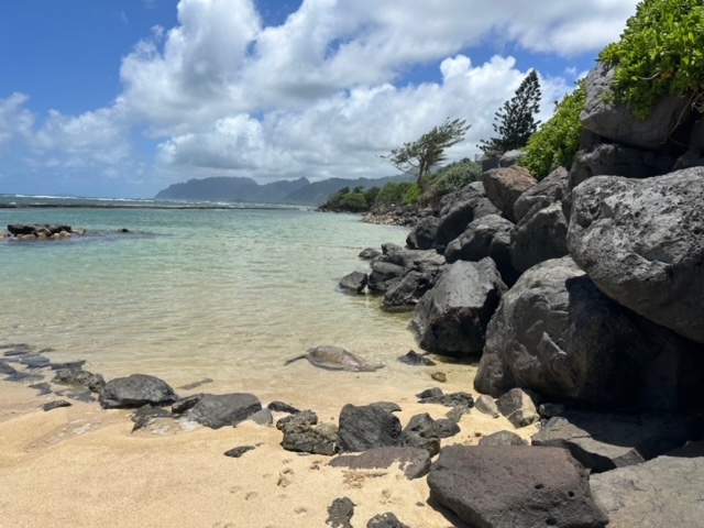 Building Photo - 55-323-323 Kamehameha Hwy