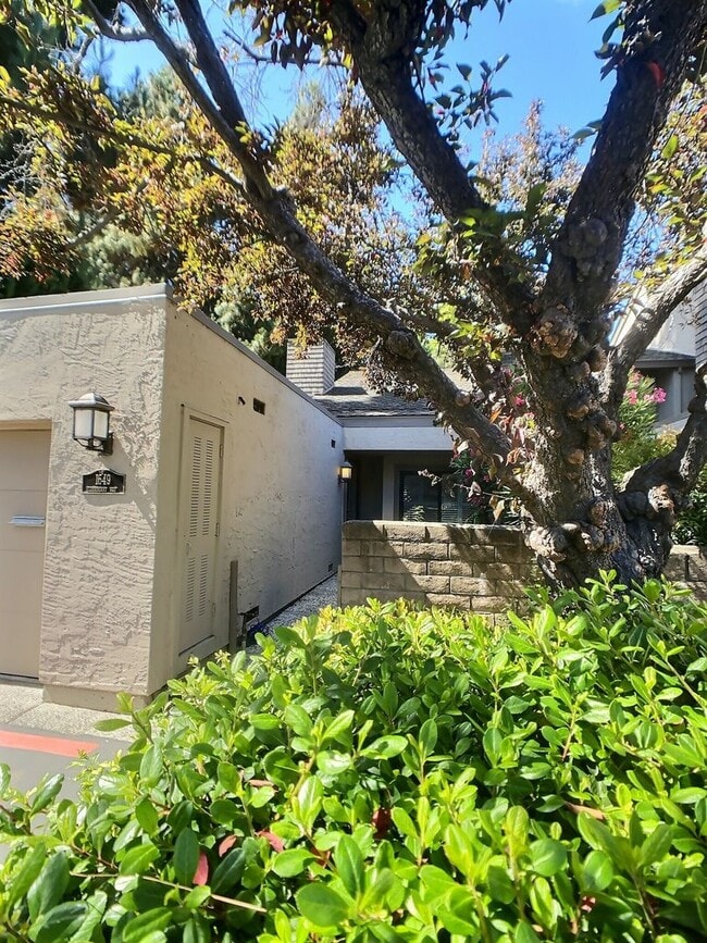 Building Photo - Dry Creek Village Townhouse!
